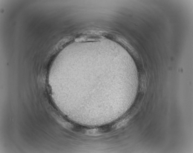 X0000080730309200701051105