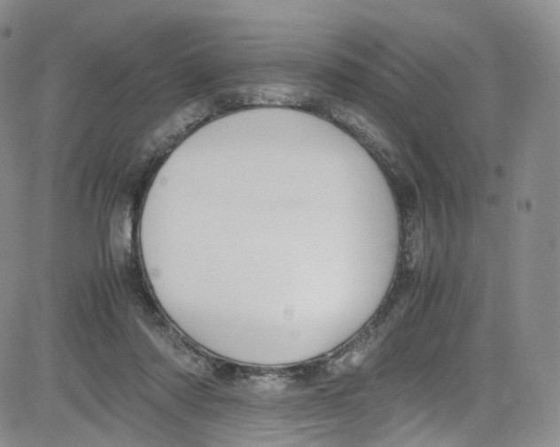 X0000080730310200701051105