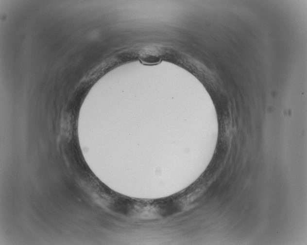 X0000080730311200701051105