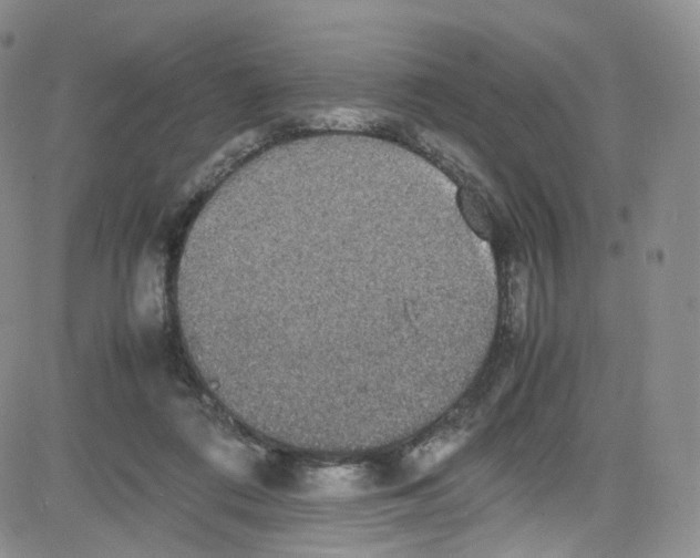 X0000080730312200701051105