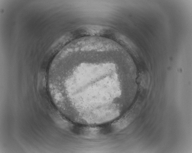 X0000080730313200701051105