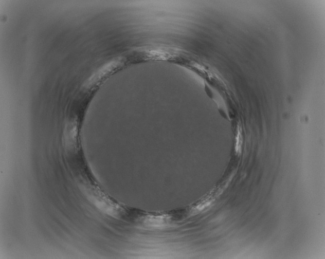 X0000080730314200701051105