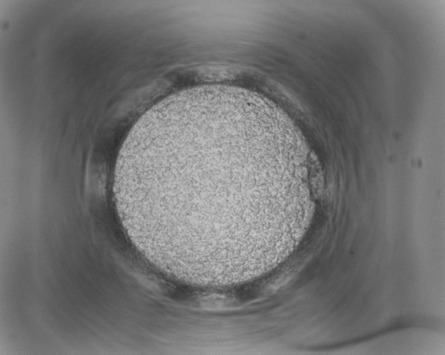 X0000080730315200701051105