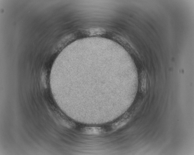 X0000080730316200701051105