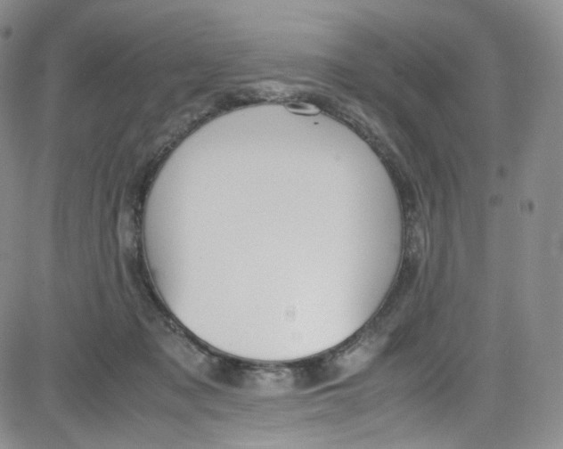 X0000080730317200701051105