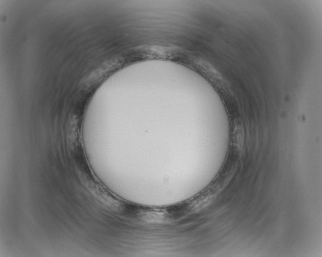 X0000080730318200701051105