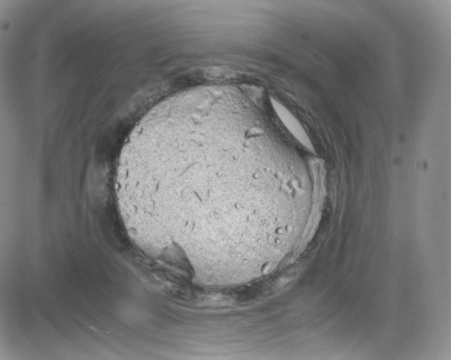 X0000080730319200701051105