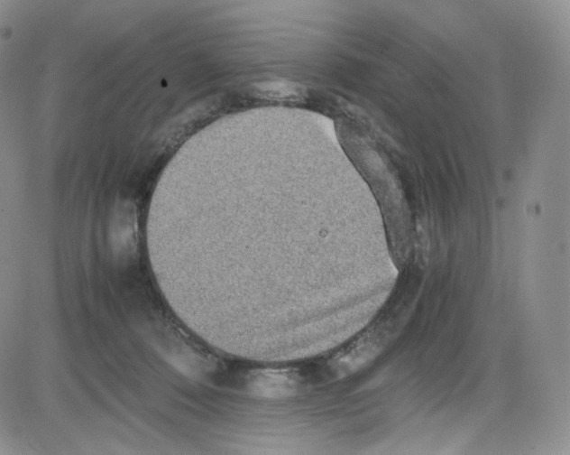 X0000080730320200701051105