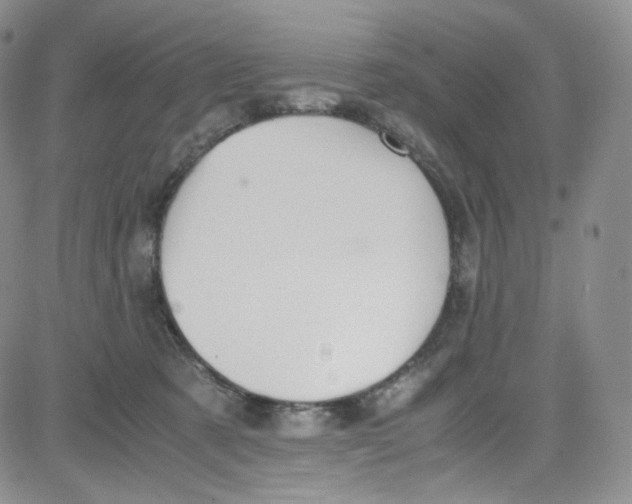 X0000080730321200701051105