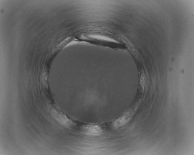 X0000080730322200701051105