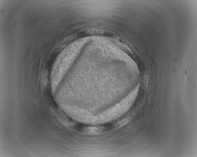 X0000080730323200701051105