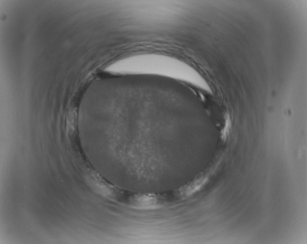 X0000080730325200701051105