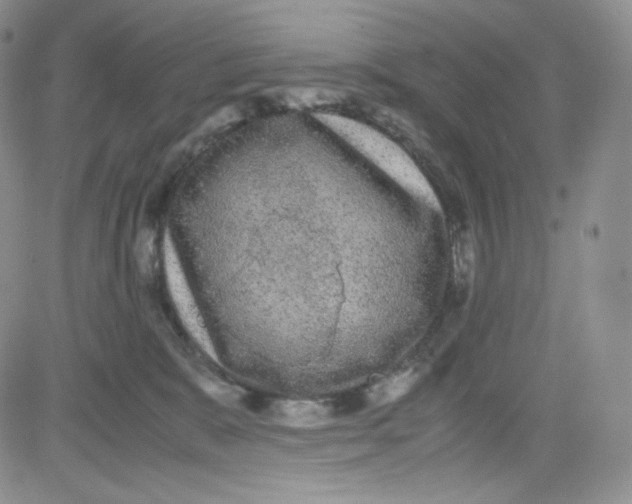 X0000080730327200701051105