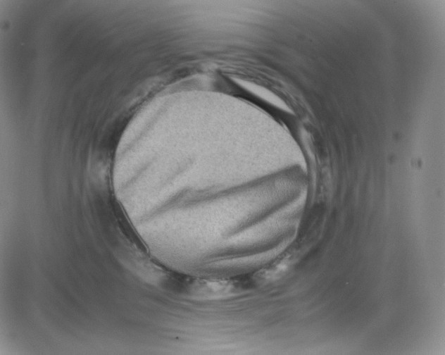 X0000080730329200701051105