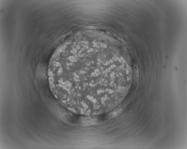 X0000080730331200701051105