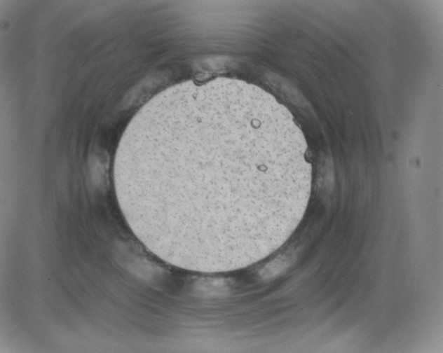 X0000080730332200701051105