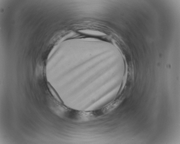 X0000080730333200701051105