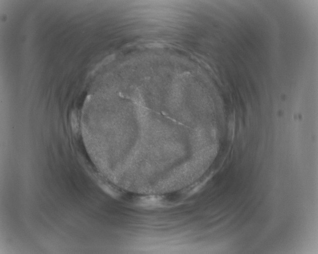 X0000080730335200701051105