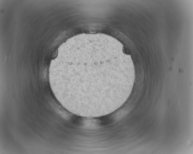 X0000080730336200701051105