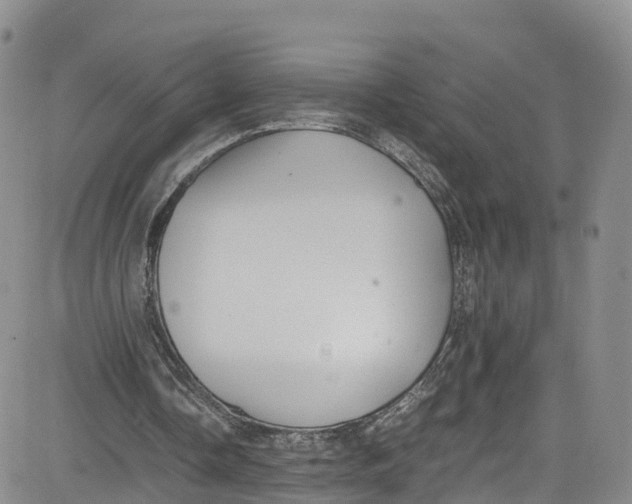 X0000080730338200701051104