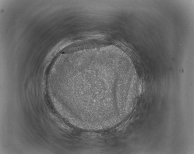 X0000080730339200701051104