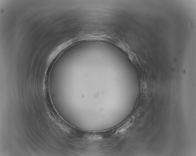 X0000080730340200701051104