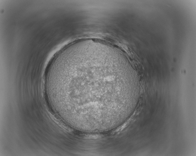 X0000080730342200701051104