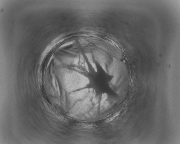 X0000080730343200701051104