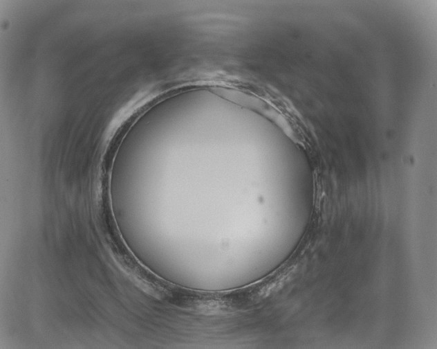 X0000080730344200701051104