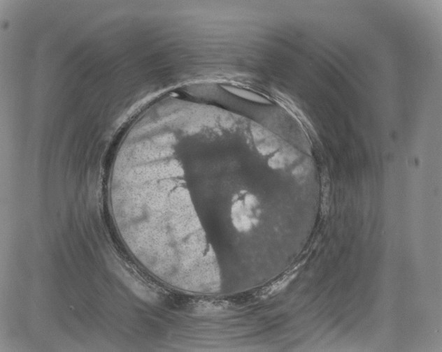 X0000080730346200701051104