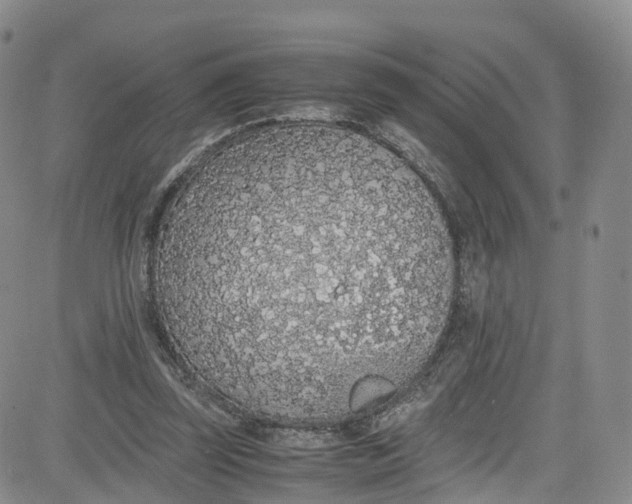 X0000080730347200701051104