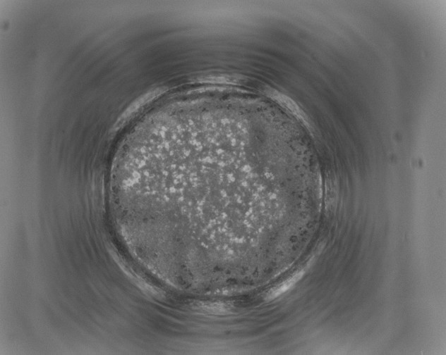 X0000080730349200701051104