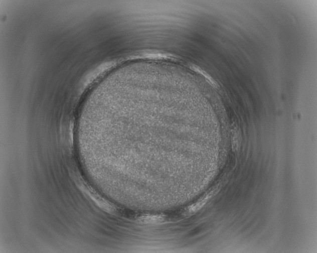 X0000080730350200701051104