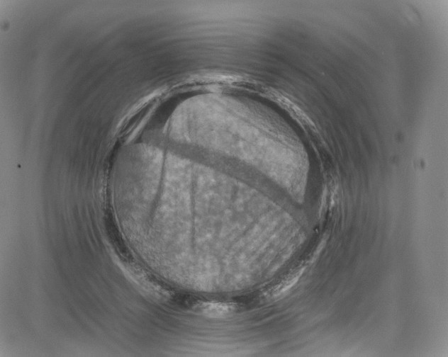 X0000080730352200701051105