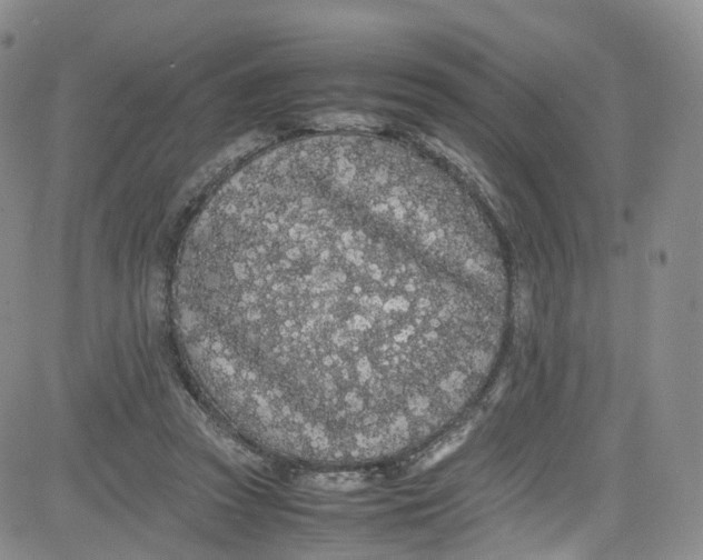 X0000080730353200701051105