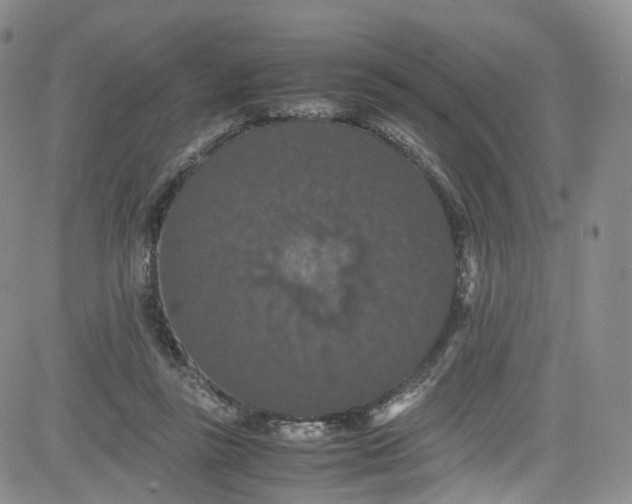 X0000080730355200701051105