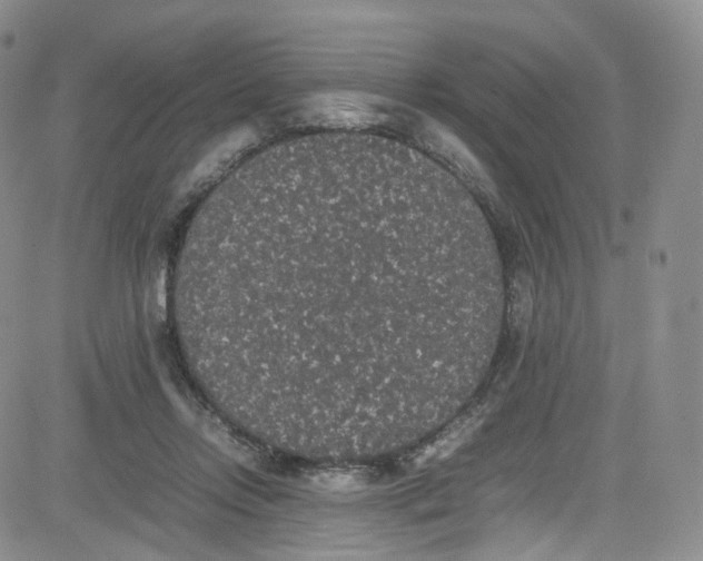 X0000080730358200701051105