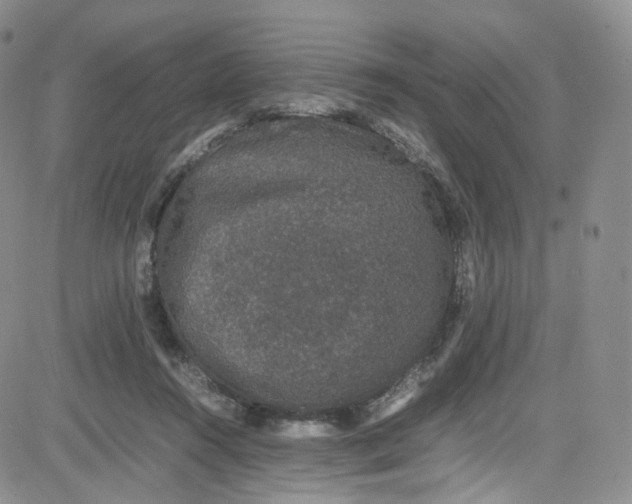 X0000080730360200701051105