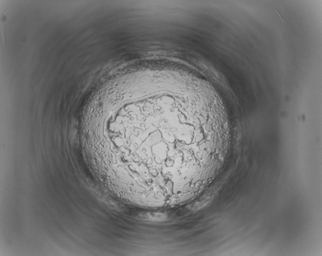 X0000080730361200701051105