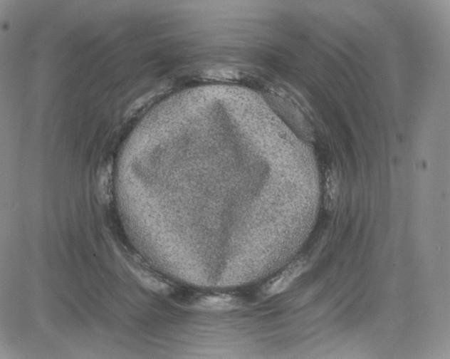 X0000080730364200701051105