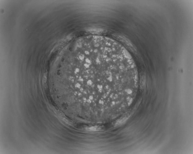 X0000080730365200701051105