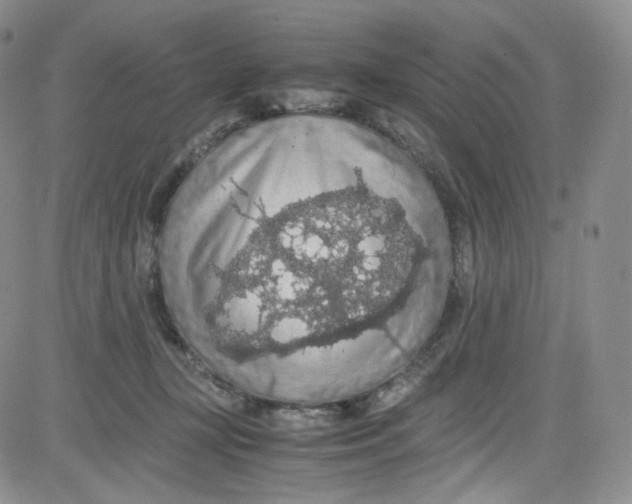 X0000080730367200701051105