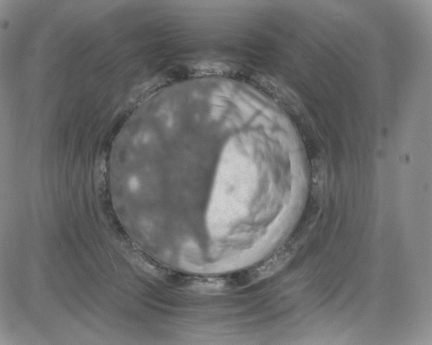 X0000080730369200701051105