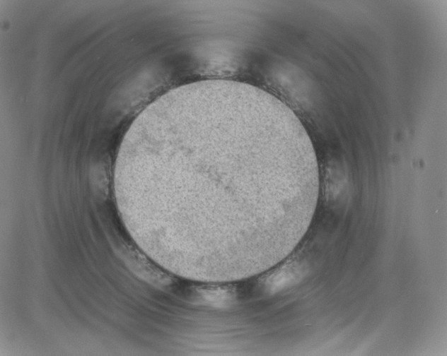 X0000080730370200701051105