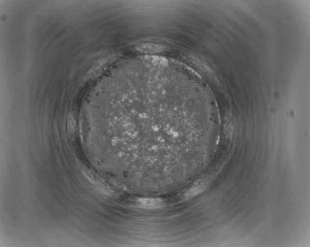 X0000080730371200701051105