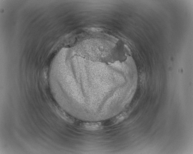 X0000080730373200701051105