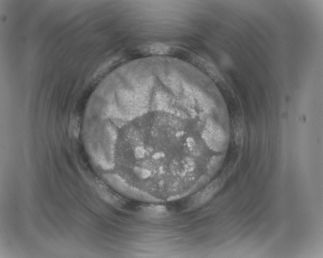 X0000080730374200701051105