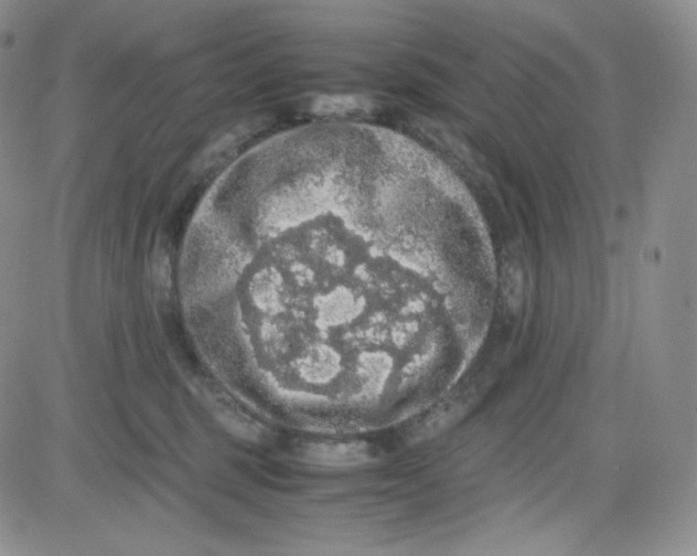 X0000080730375200701051105