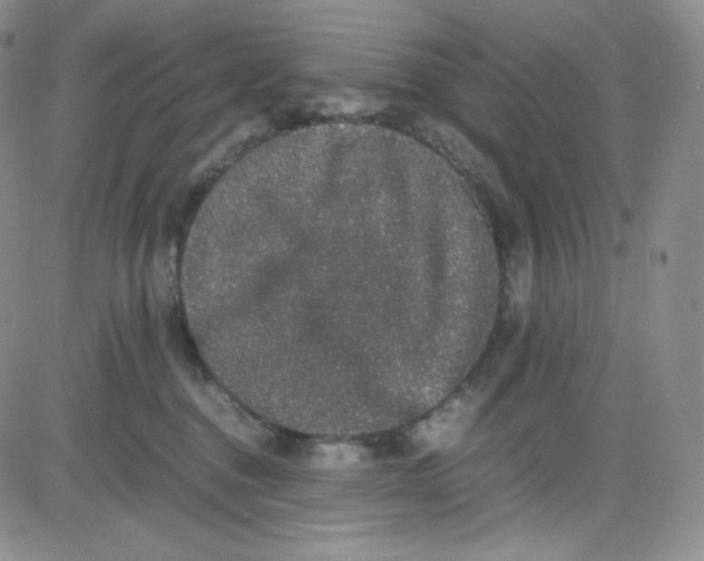 X0000080730376200701051105