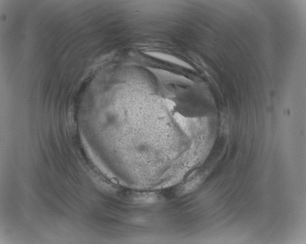 X0000080730377200701051105